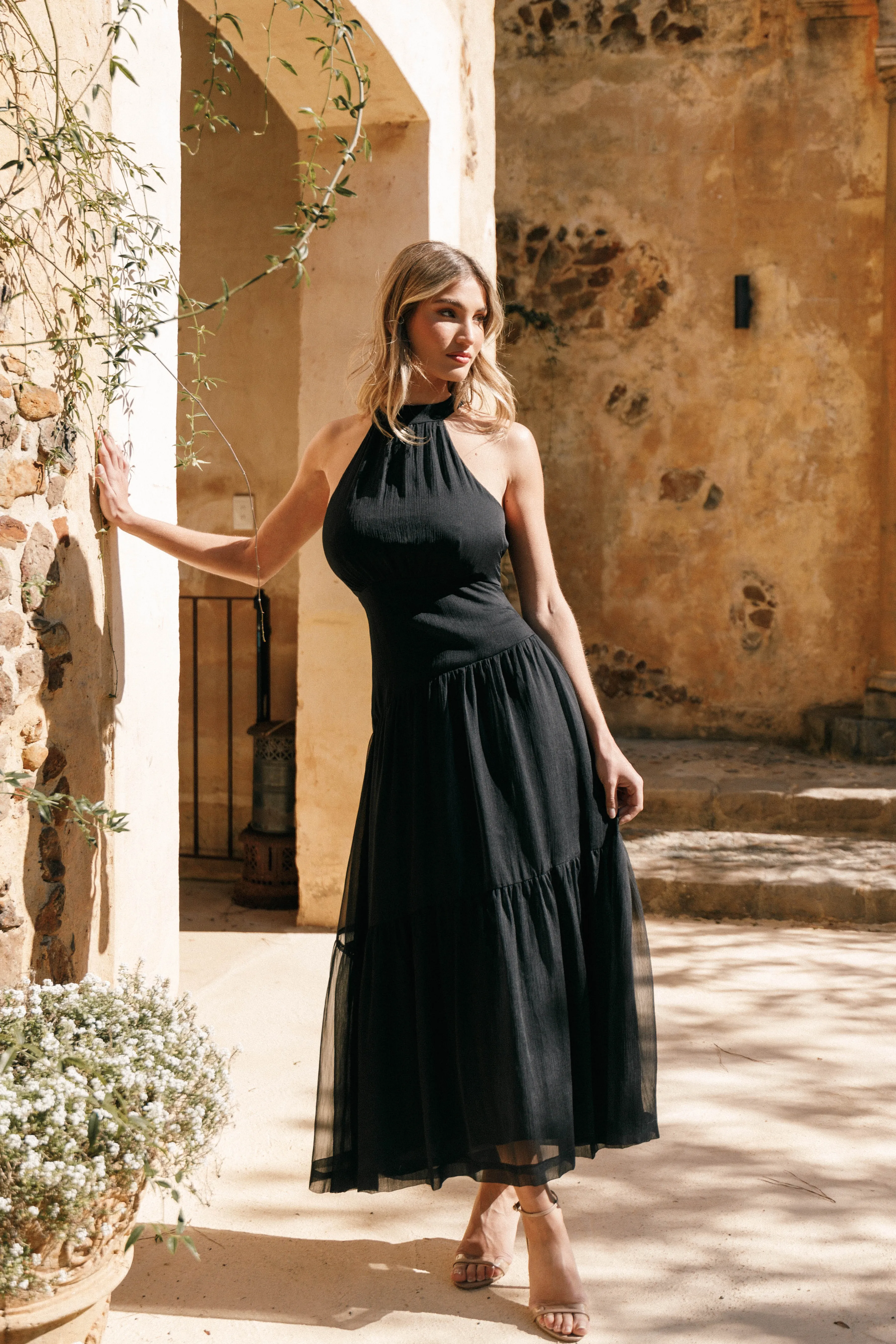 Petal & Pup Eden Maxi Dress - Black Hot