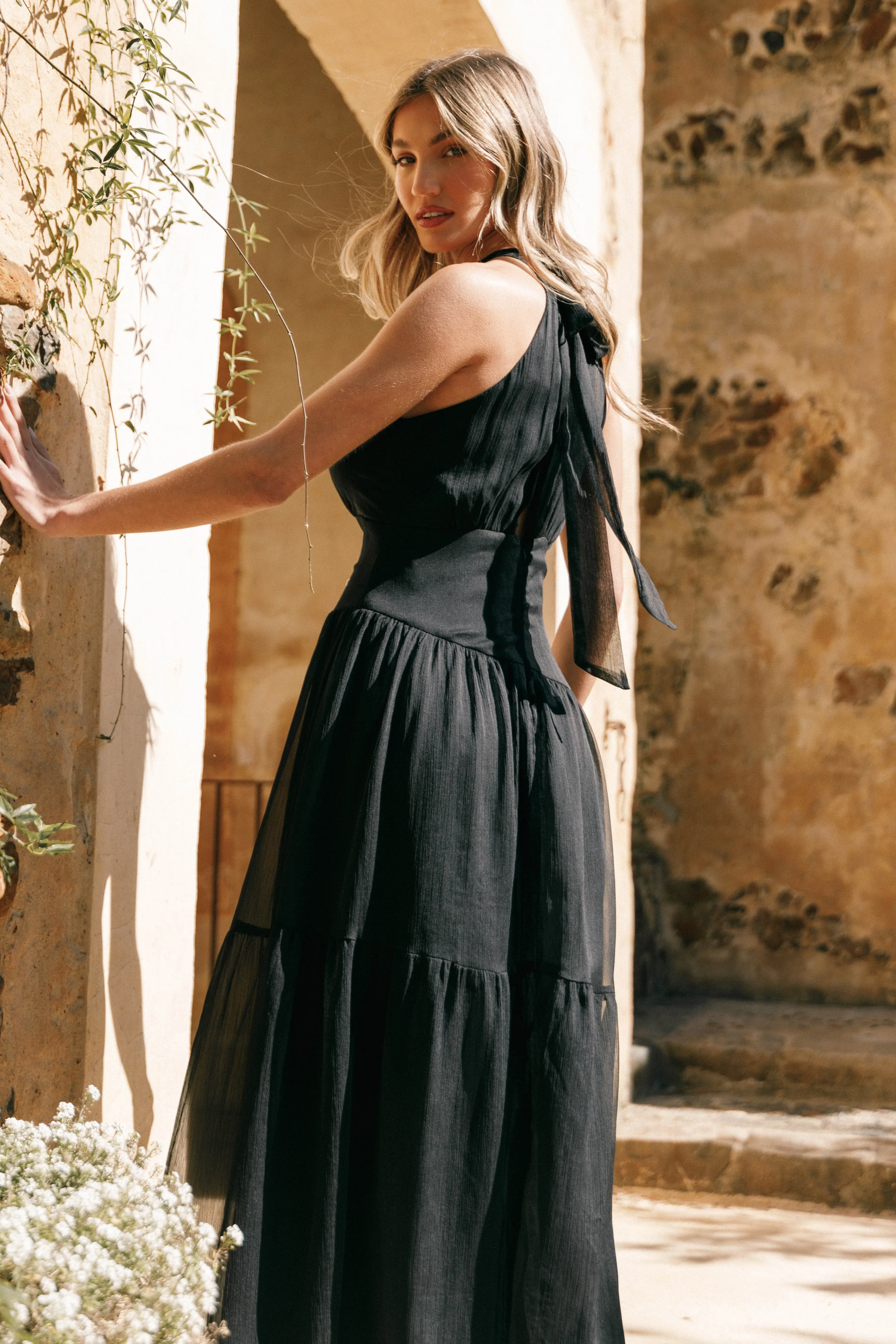 Petal & Pup Eden Maxi Dress - Black Hot